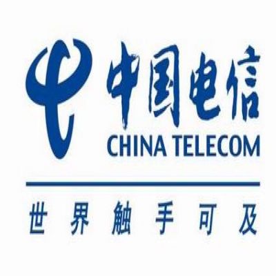 香港电信电池巡检项目